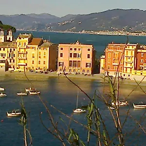 Iris , Casarza Ligure Italia